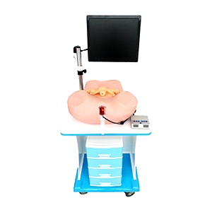 宫腔镜模拟训练器